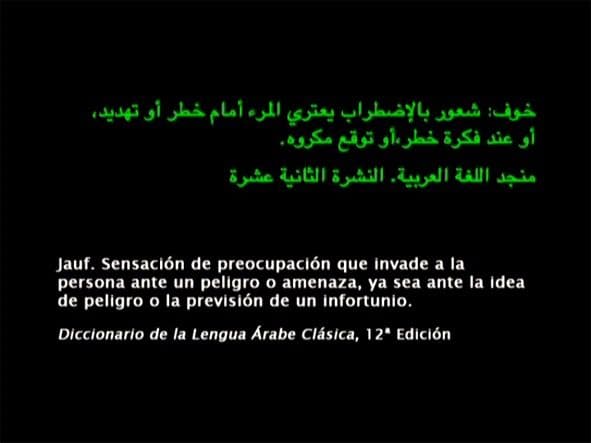 Fundación Mediterráneo - Obras: JAUF: MIEDO (MUNTADAS, Antoni)