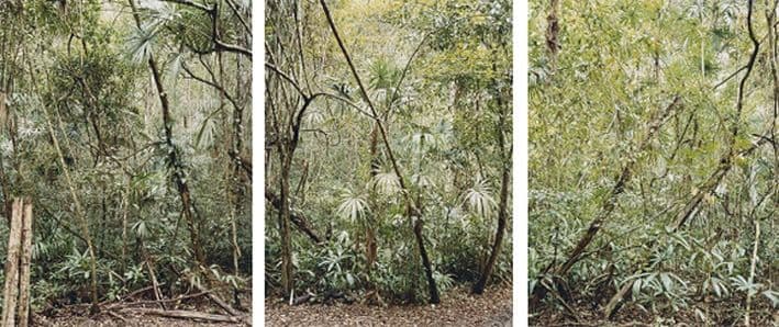 Fundación Mediterráneo - Obras: SIN TÍTULO (ESTRUCTURAS INVISIBLES # 6-7-8) DE LA SERIE ESTRUCTURAS INVISIBLES (RIBAS, Xavier)