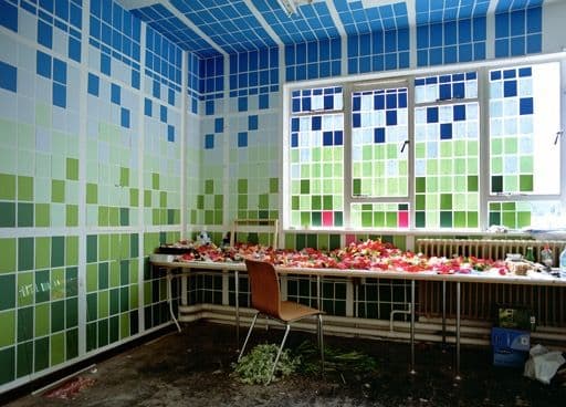 Fundación Mediterráneo - Obras: Framed Paradise I (URIEL FERNÁNDEZ, Belén)