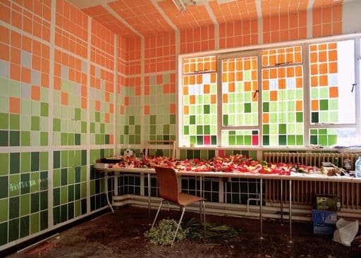 Fundación Mediterráneo - Obras: Framed Paradise II (URIEL FERNÁNDEZ, Belén)