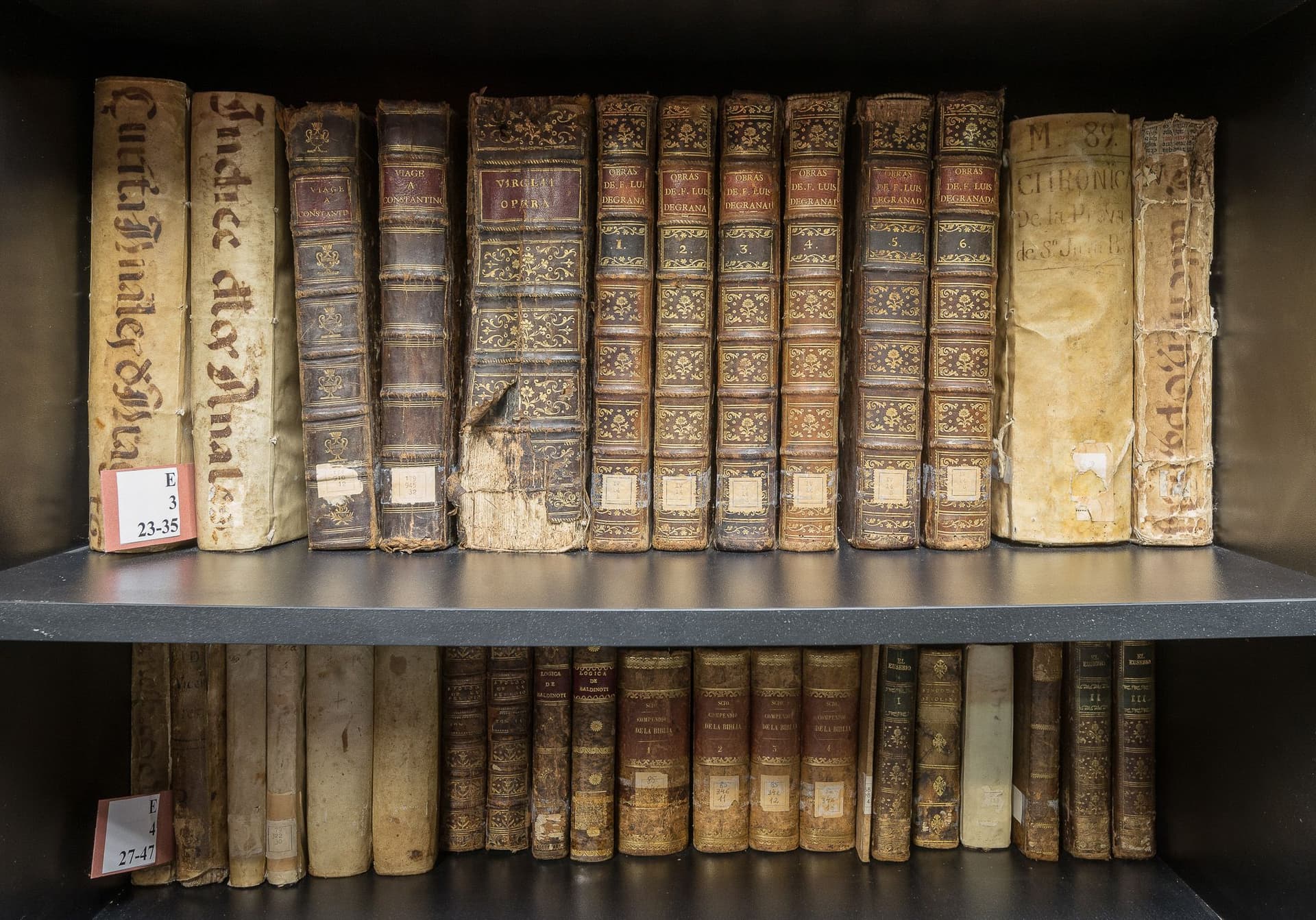 Fundación Mediterráneo