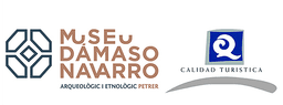 Museo Dámaso Navarro