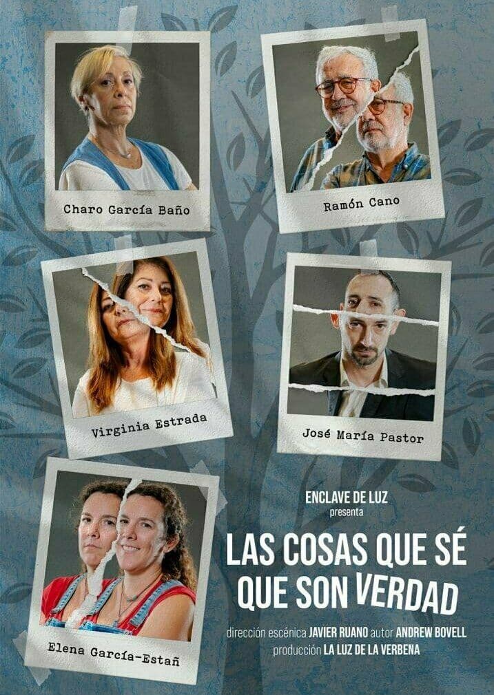 Cartel de 'Las cosas que sé que son verdad'