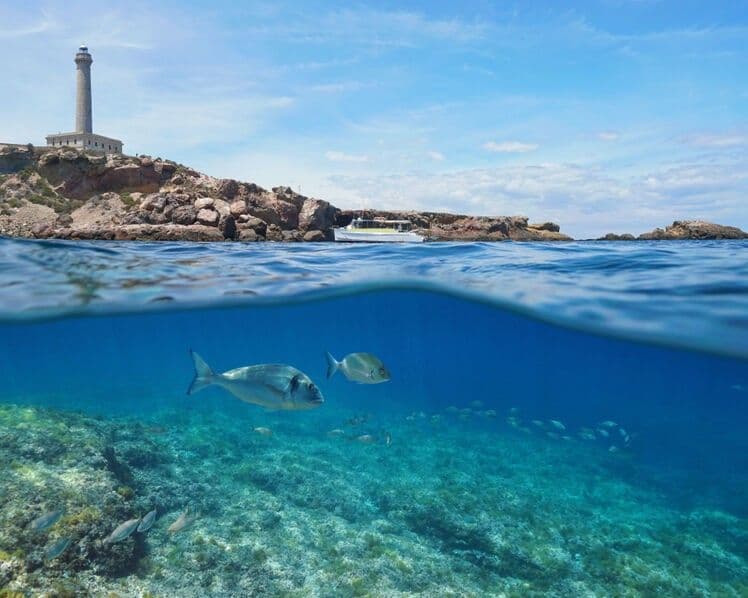 Cabo de Palos; El Cabo Azul de Emilio Gil