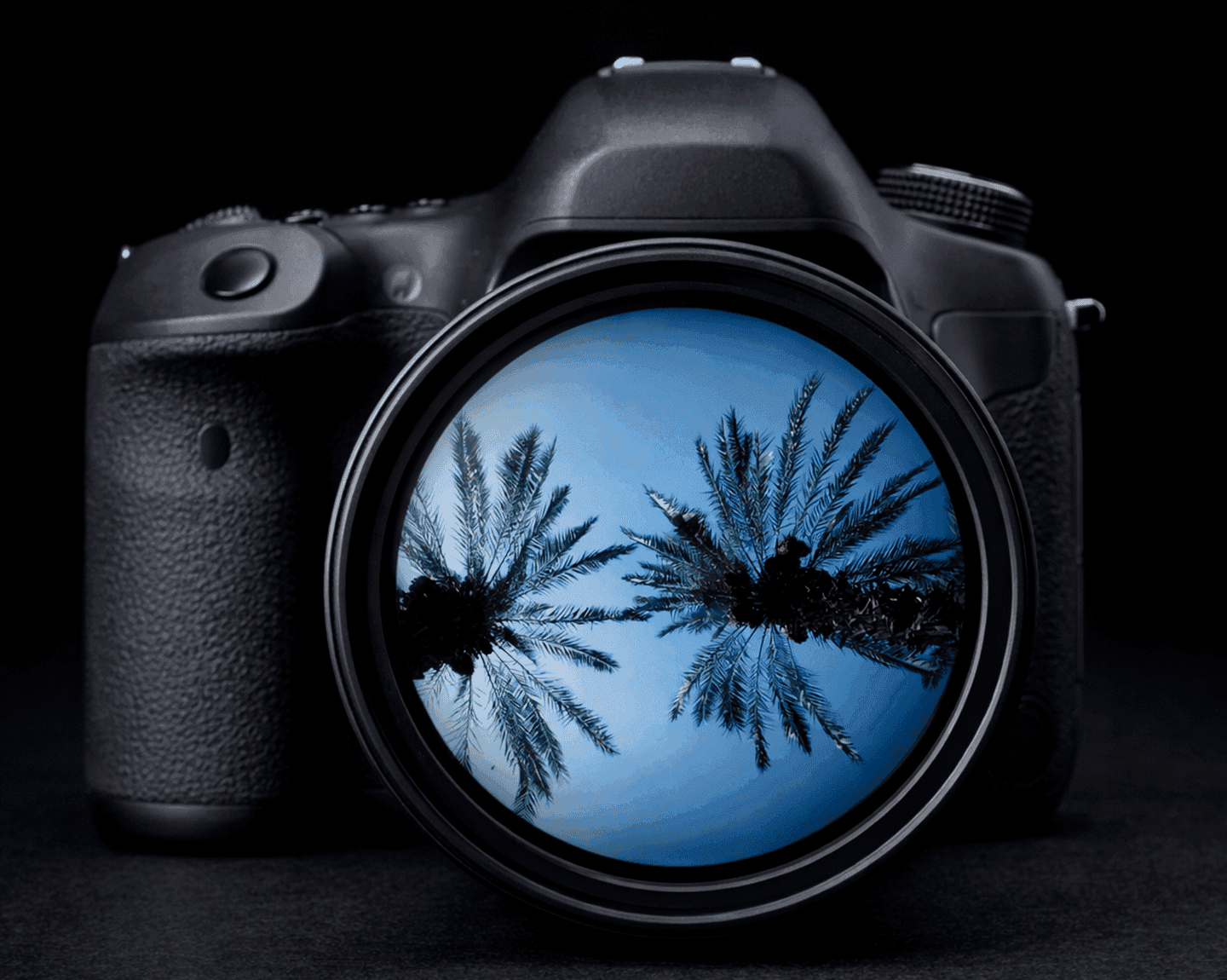 Centro Cultural Elche