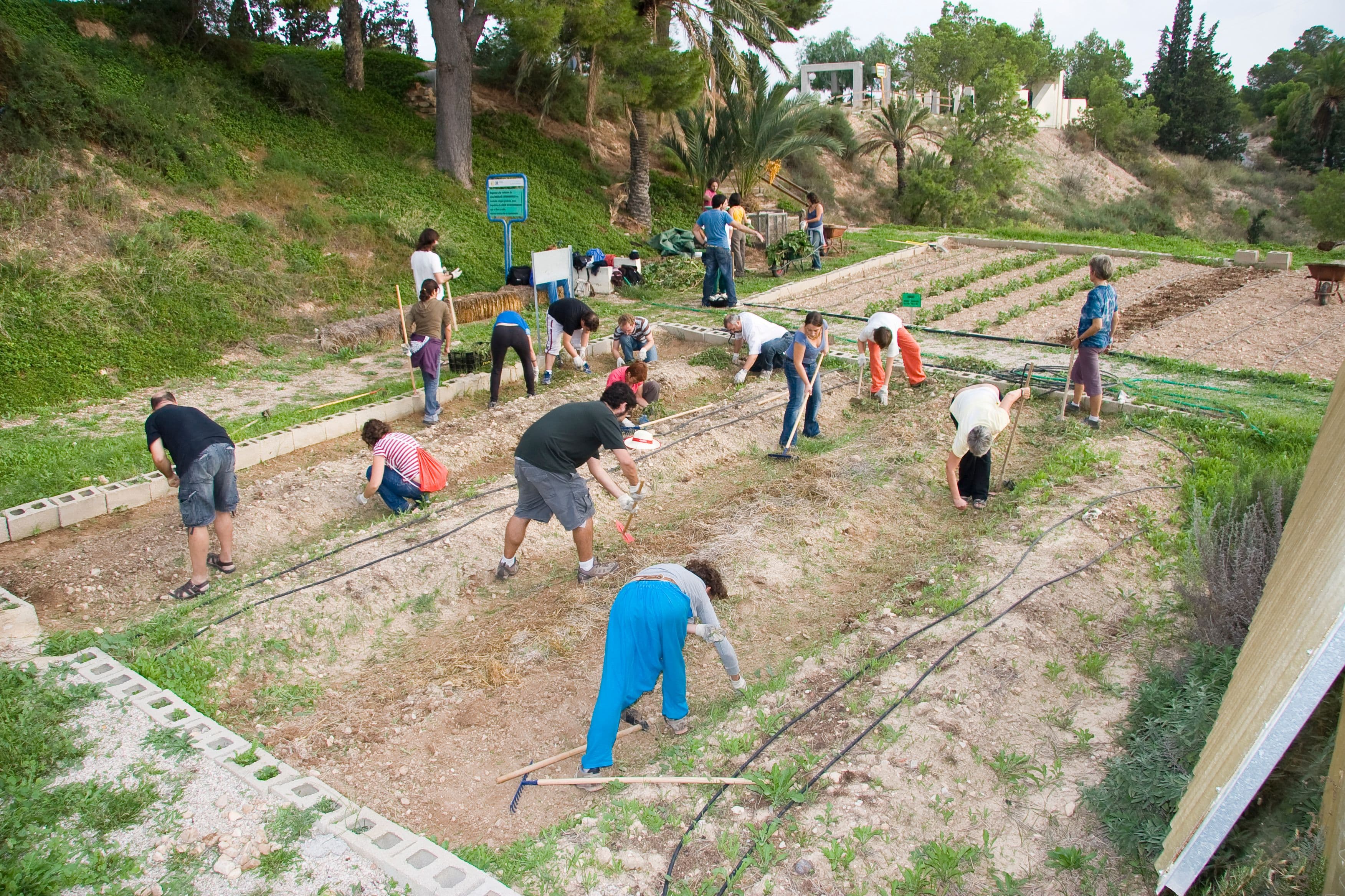 Los Molinos de Crevillent Fundación Mediterráneo