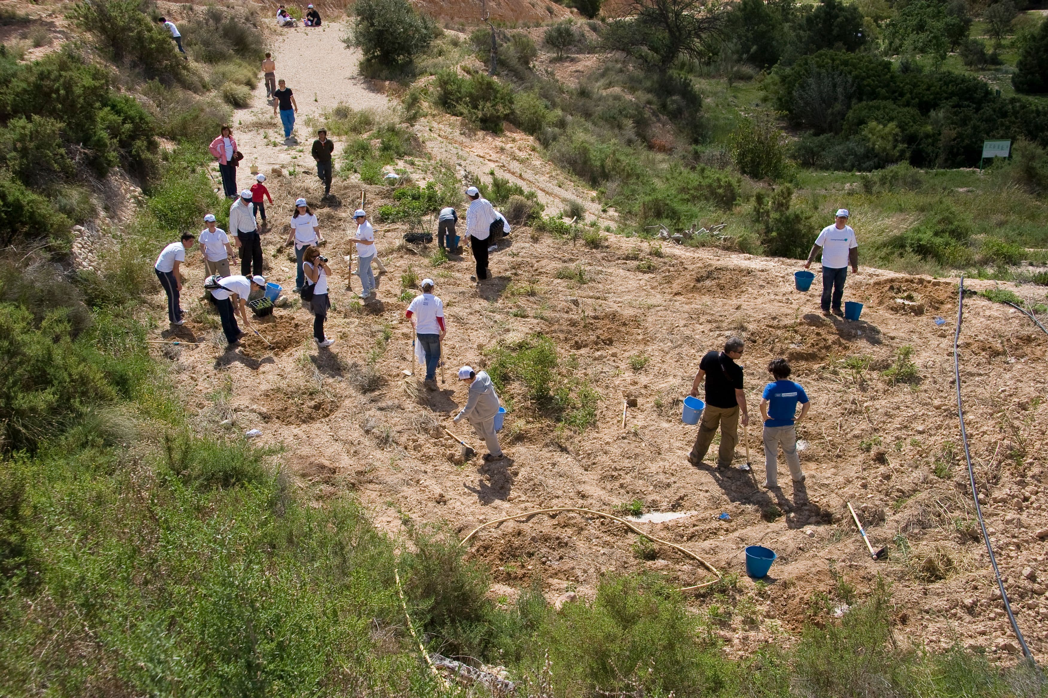 Los Molinos de Crevillent Fundación Mediterráneo