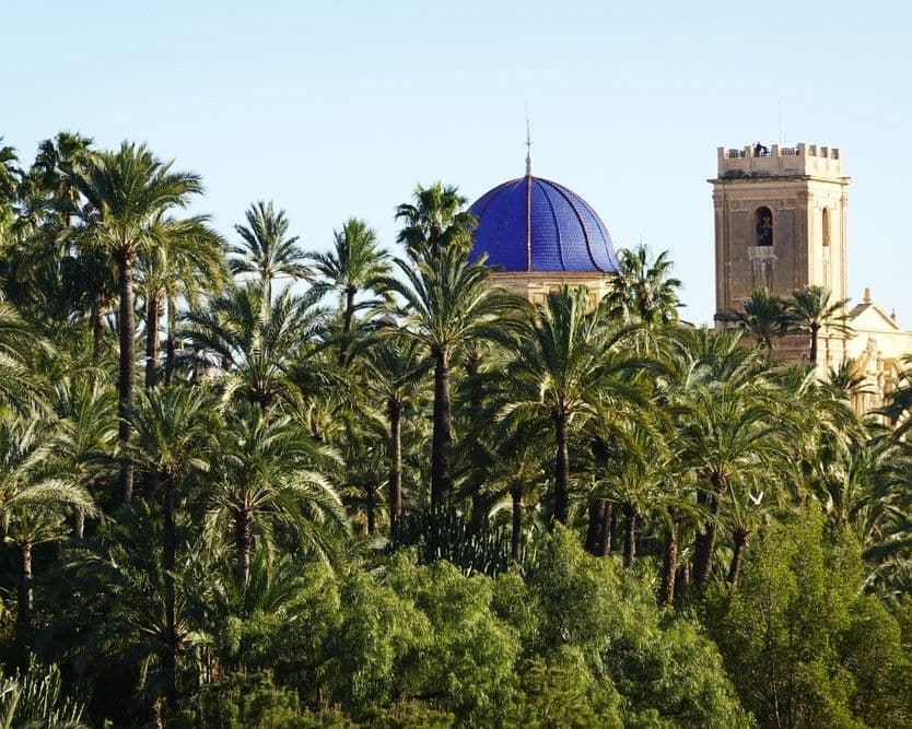 Centro Cultural Elche