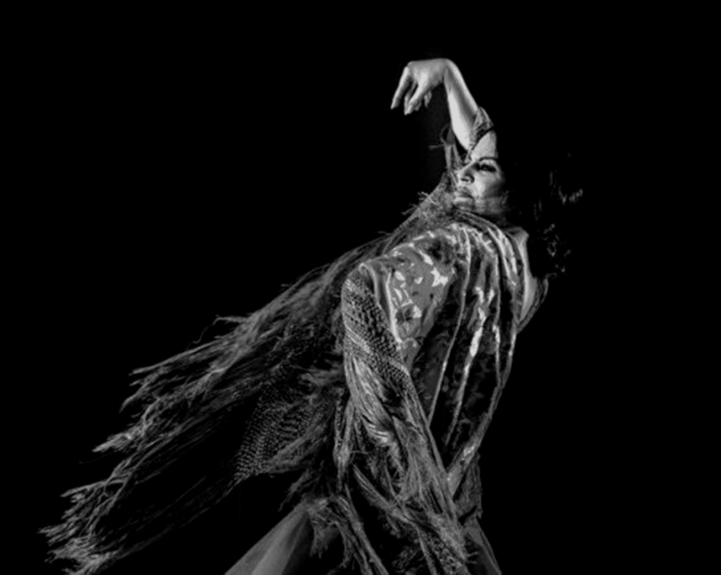 Bases del Concurso de Fotografía Flamenco
