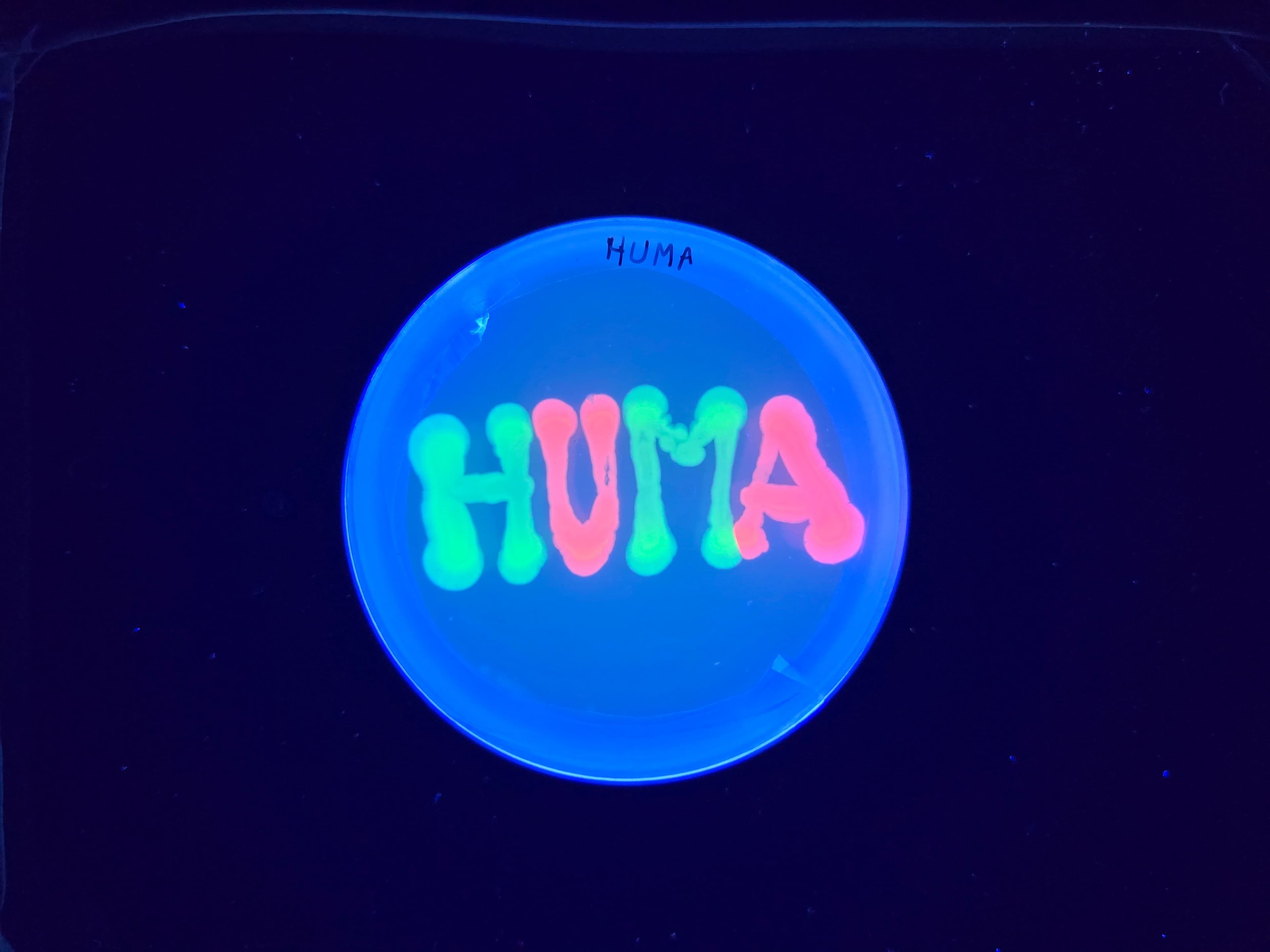 Performance Live. Tecnoutopía: tiempo, relación e incertidumbre